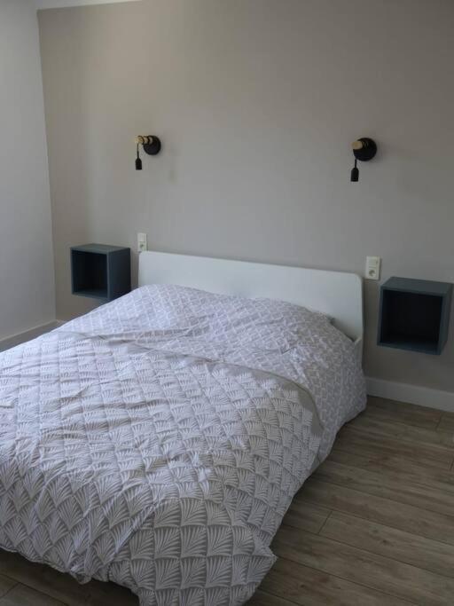 Spacieux Appartement Au Pied De La Cite Medievale Carcassone Kültér fotó