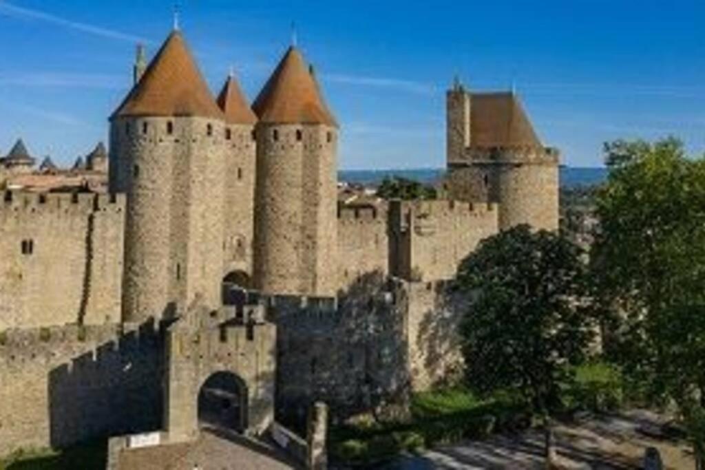 Spacieux Appartement Au Pied De La Cite Medievale Carcassone Kültér fotó